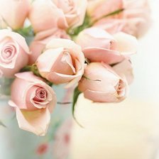 Схема вышивки «розы»