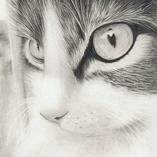 Схема вышивки «№ 7»