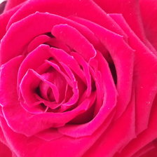 Схема вышивки «№865341»