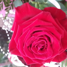 Схема вышивки «№865343»