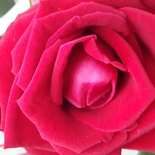 Схема вышивки «№865344»