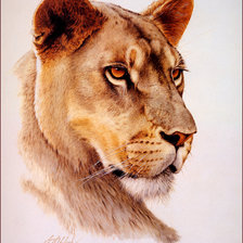 Схема вышивки «Львица»