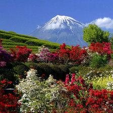 Схема вышивки «№865869»