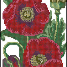 Схема вышивки «маки вышиванка»