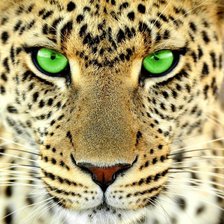 Схема вышивки «он всё видит»