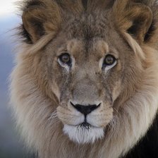 Схема вышивки «сама доброта»