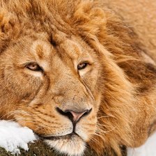 Схема вышивки «само спойствие»