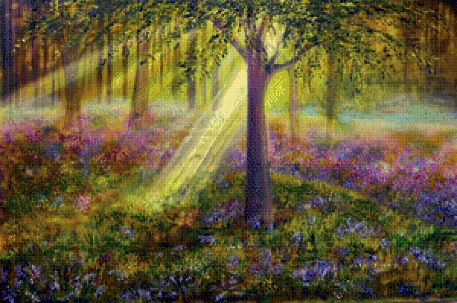 Утренний лес - утро, деревья, лес, луч света - предпросмотр