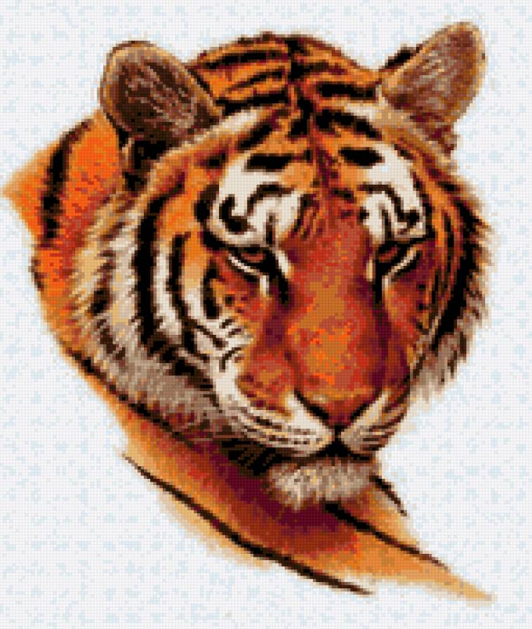 Красавец тигр - предпросмотр