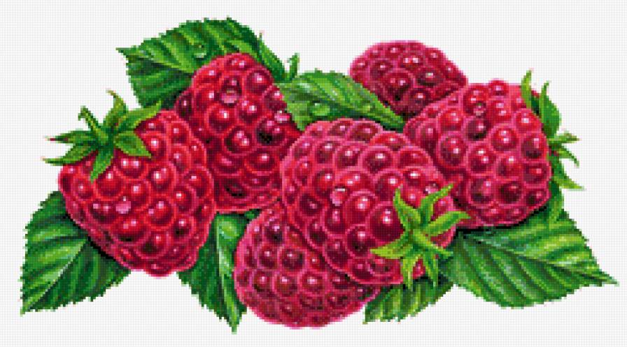 Малина - ягода, на кухню, ягоды - предпросмотр