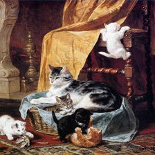 котята резвятся