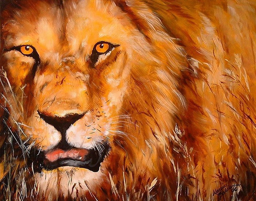 Царь зверей Marcia Baldwin - лев, кошки, картины маслом, marcia baldwin - оригинал