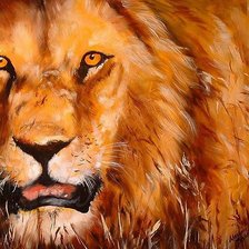 Схема вышивки «Царь зверей Marcia Baldwin»