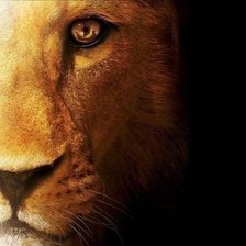 Схема вышивки «царь»