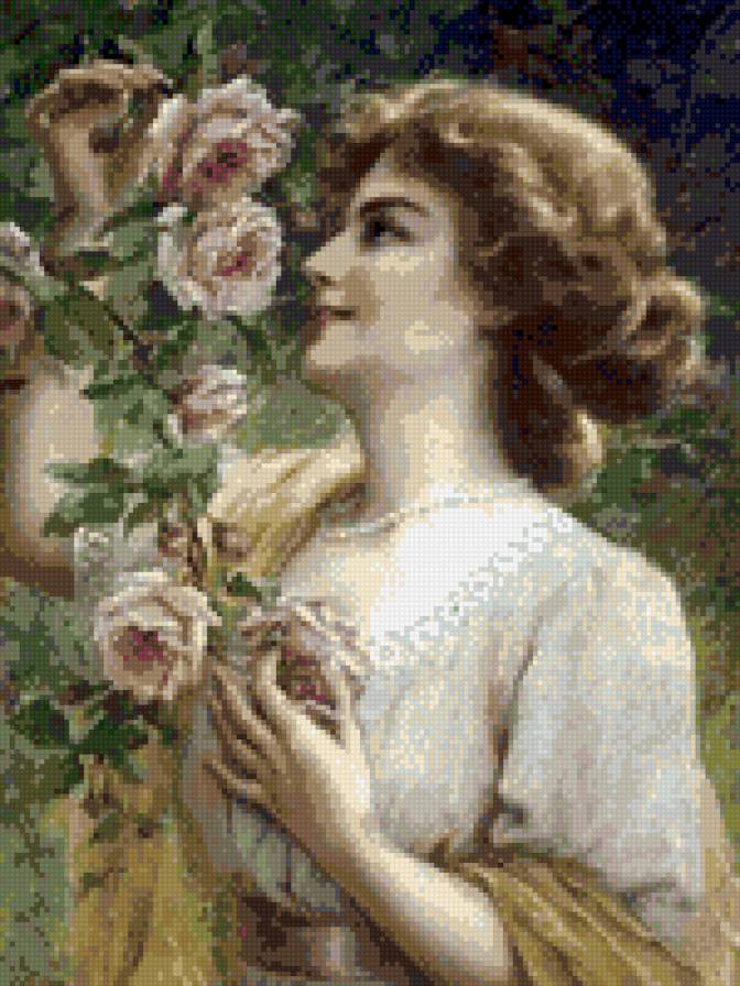 beauty - предпросмотр