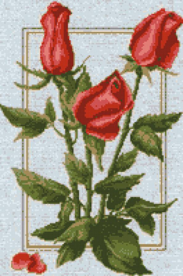 розочки-2 - цветы.розы - предпросмотр