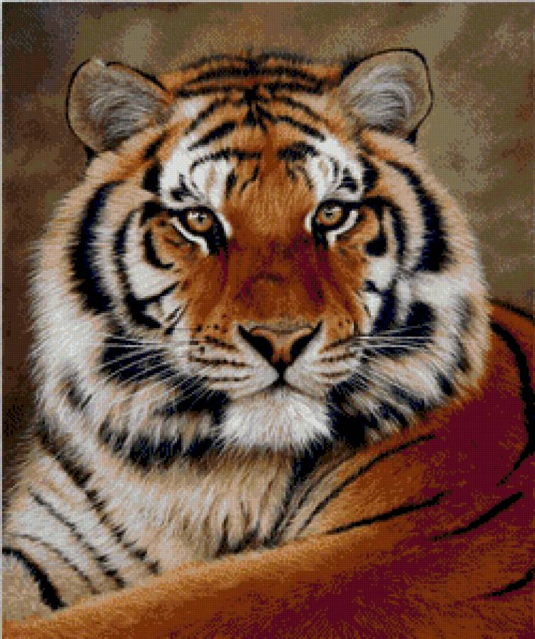 №866765 - предпросмотр