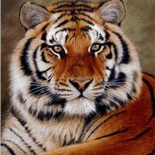 Схема вышивки «№866765»