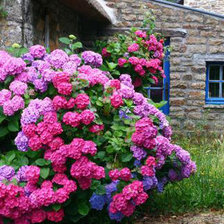 Схема вышивки «№ 23»