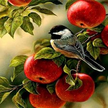 Схема вышивки «синичка»