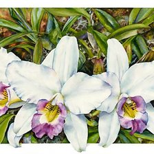 Схема вышивки «Цветы»