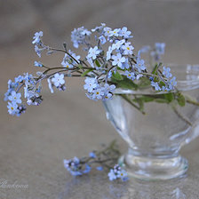 Схема вышивки «ytpf,elrb»