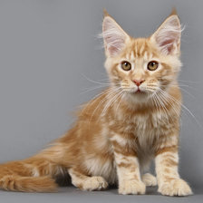 Схема вышивки «Солнышко»