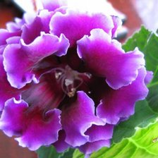 Схема вышивки «цветы»