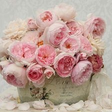 Схема вышивки «розы»