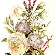 букет цветов