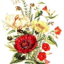 букет цветов