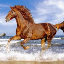 Схема вышивки «красавец»