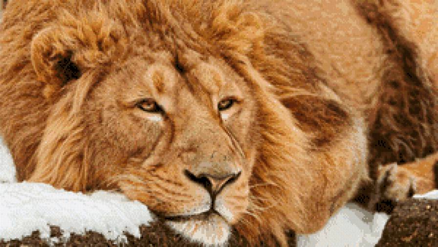 отдых - предпросмотр