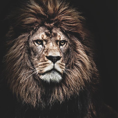 царь - лев, царь, зверь - оригинал