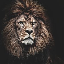 Схема вышивки «царь»