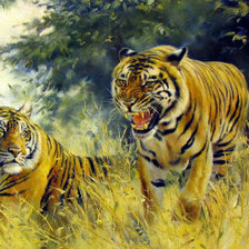 Схема вышивки «кошки»