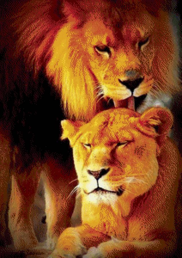 Лев - животные, нежность, кошки, лев - предпросмотр