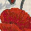 Предпросмотр схемы вышивки «алые маки» (№867996)