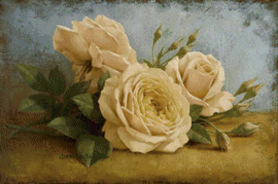 роза желтая - желтая роза., цветы, роза - предпросмотр