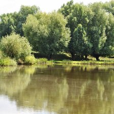 Схема вышивки «укр»