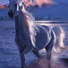 Схема вышивки «Скакунец»