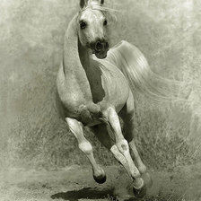 Схема вышивки «№ 29»