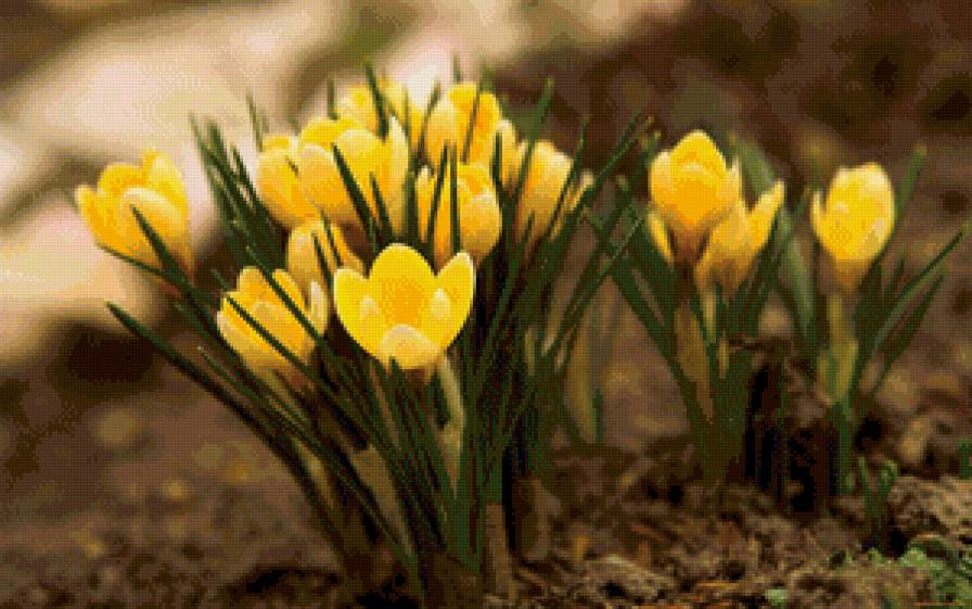 № 30 - природа - предпросмотр