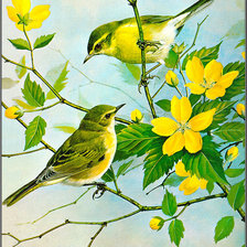 Схема вышивки «№868838»