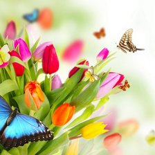 Схема вышивки «Бабочка»