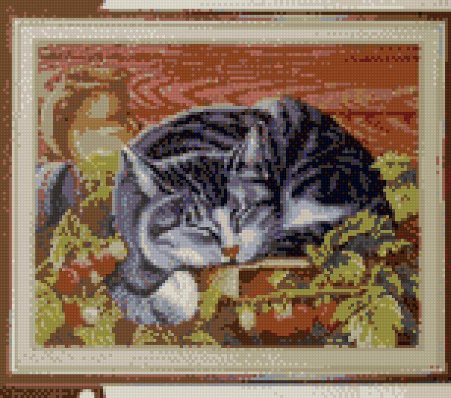 Кот - кот, кошка, животные - предпросмотр