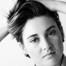 Схема вышивки «Шайлин Вудли»