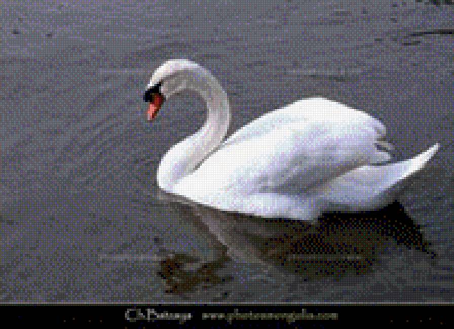 ustai xun - предпросмотр