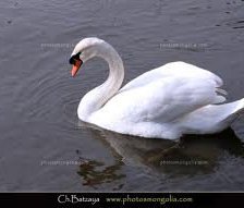 Схема вышивки «ustai xun»