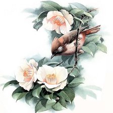 Схема вышивки «Птица на ветке»